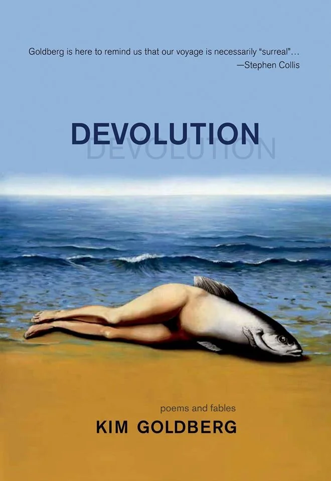 Devolution Book Launch