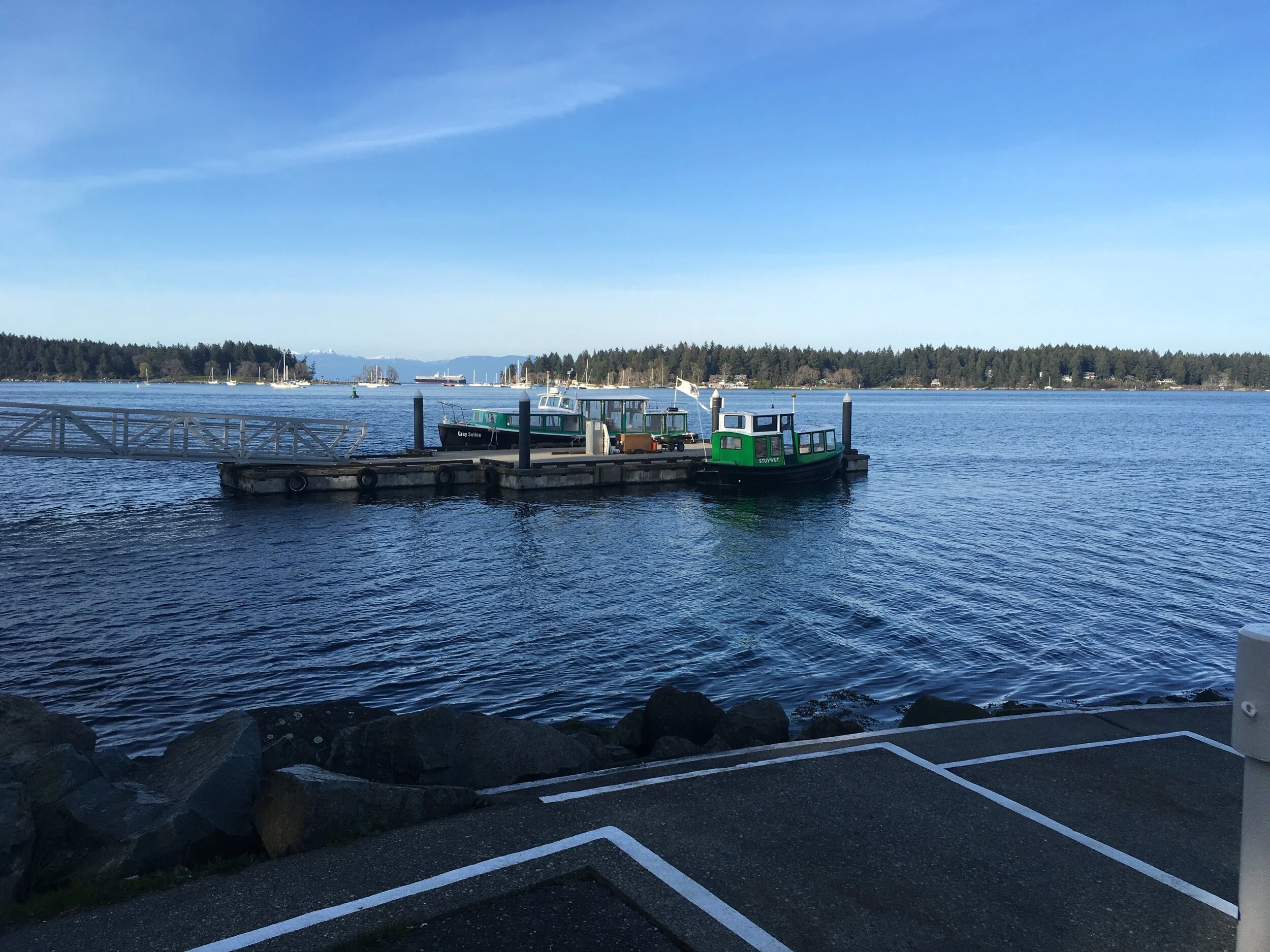 Afternoon Update for April 10, 2020