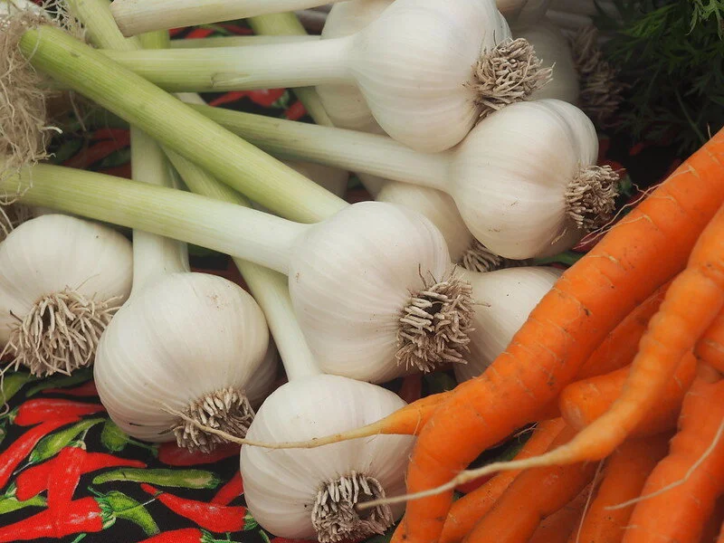 Morning News Update for May 11 2020