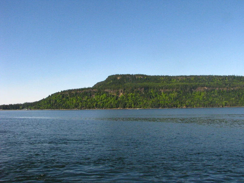 Noon News Update for May 13 2020