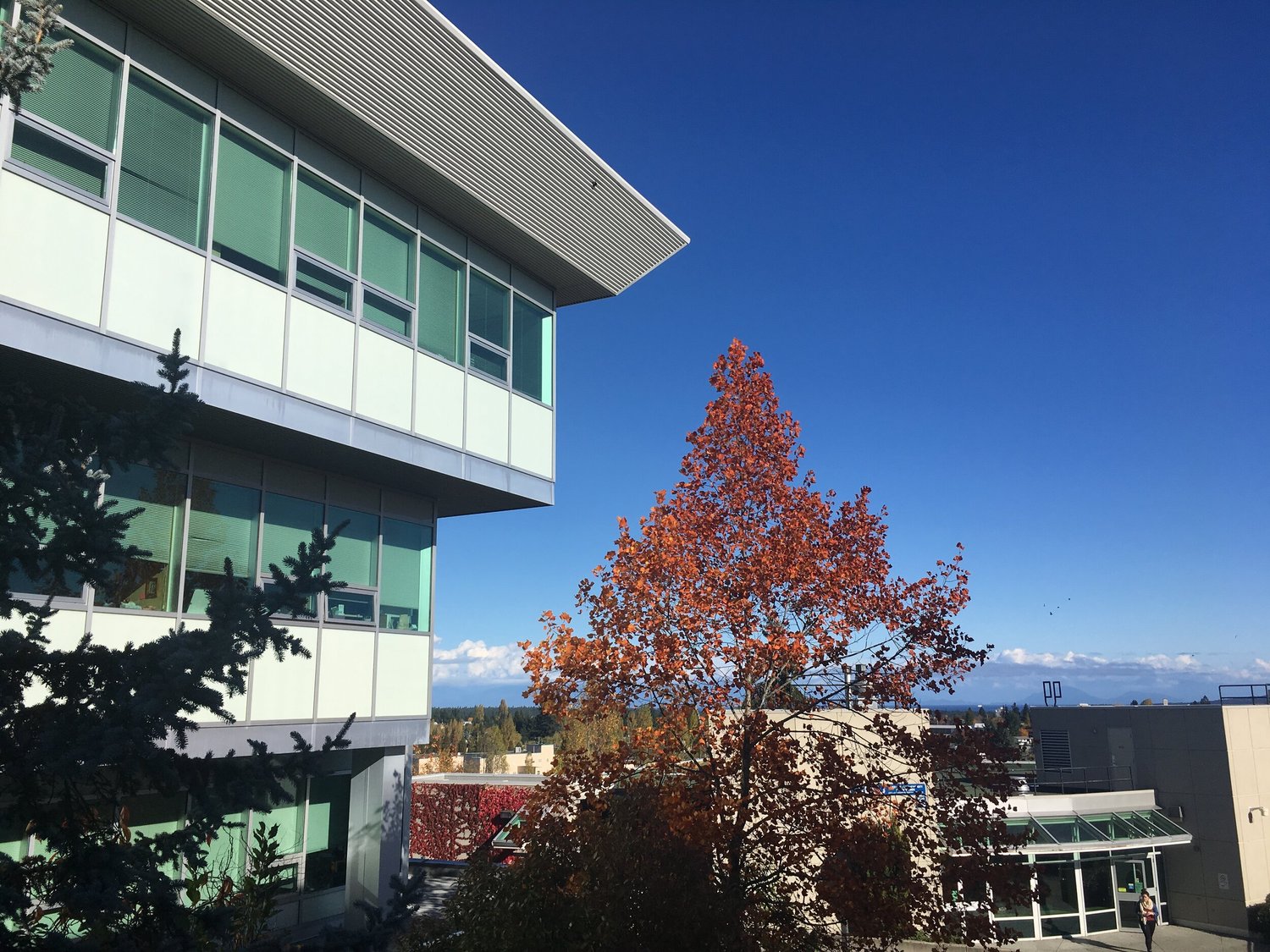 SD 68 to see some students return; Graduates from VIU MBA program to help local businesses episode artwork
