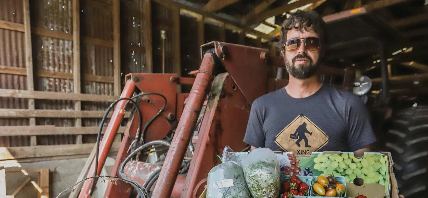 'Cow-op' to receive $100,000 from Ministry of Social Development episode artwork