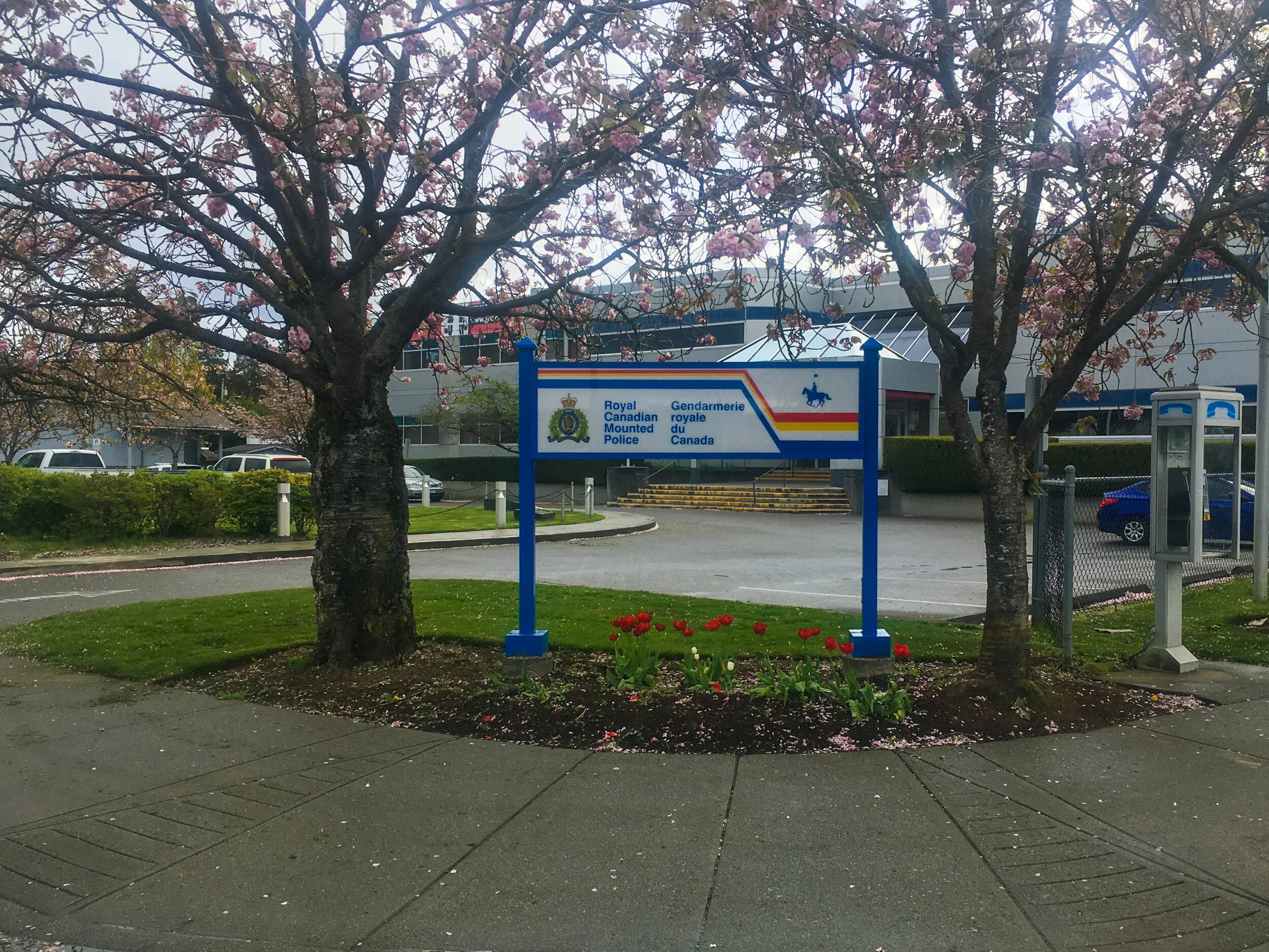 Nanaimo RCMP under investigation over wellness check last month