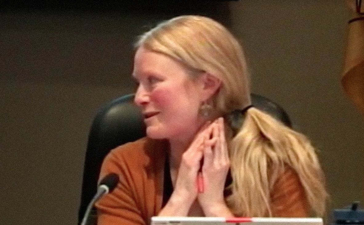 Council votes unanimously to delay definition of city's role in health and housing until February