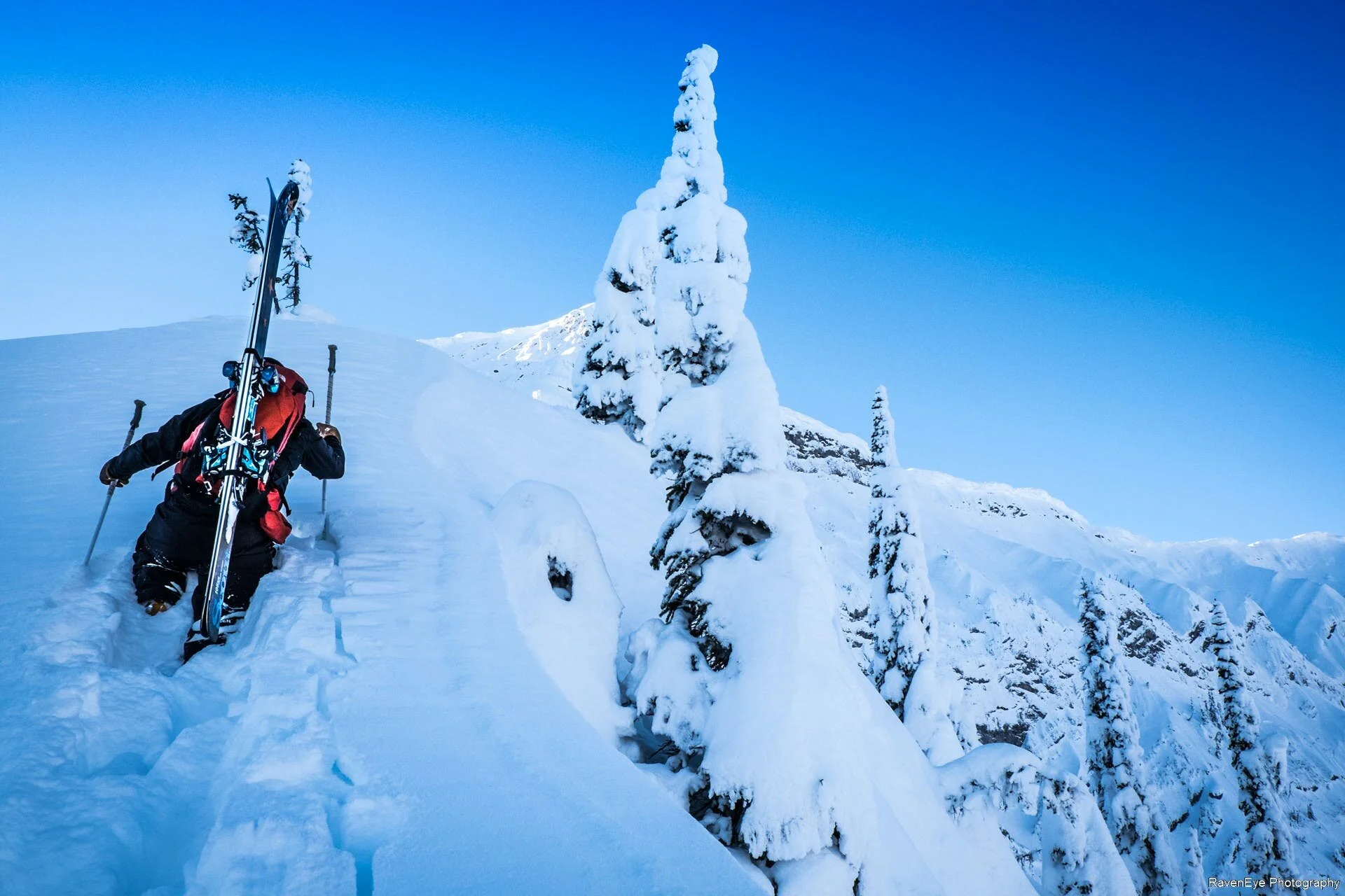 Skier survives avalanche near Mount Cameron