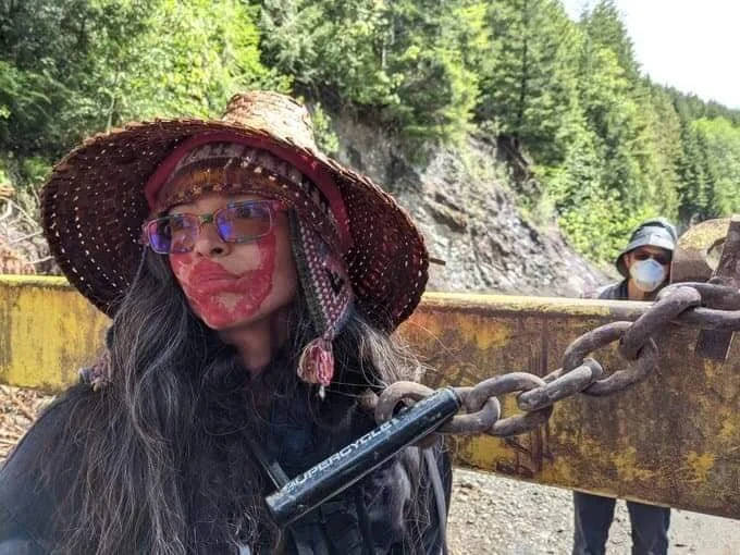 Old-growth logging protester sentenced to 60 days of jail