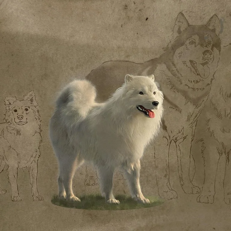 Little Woolly Dogs