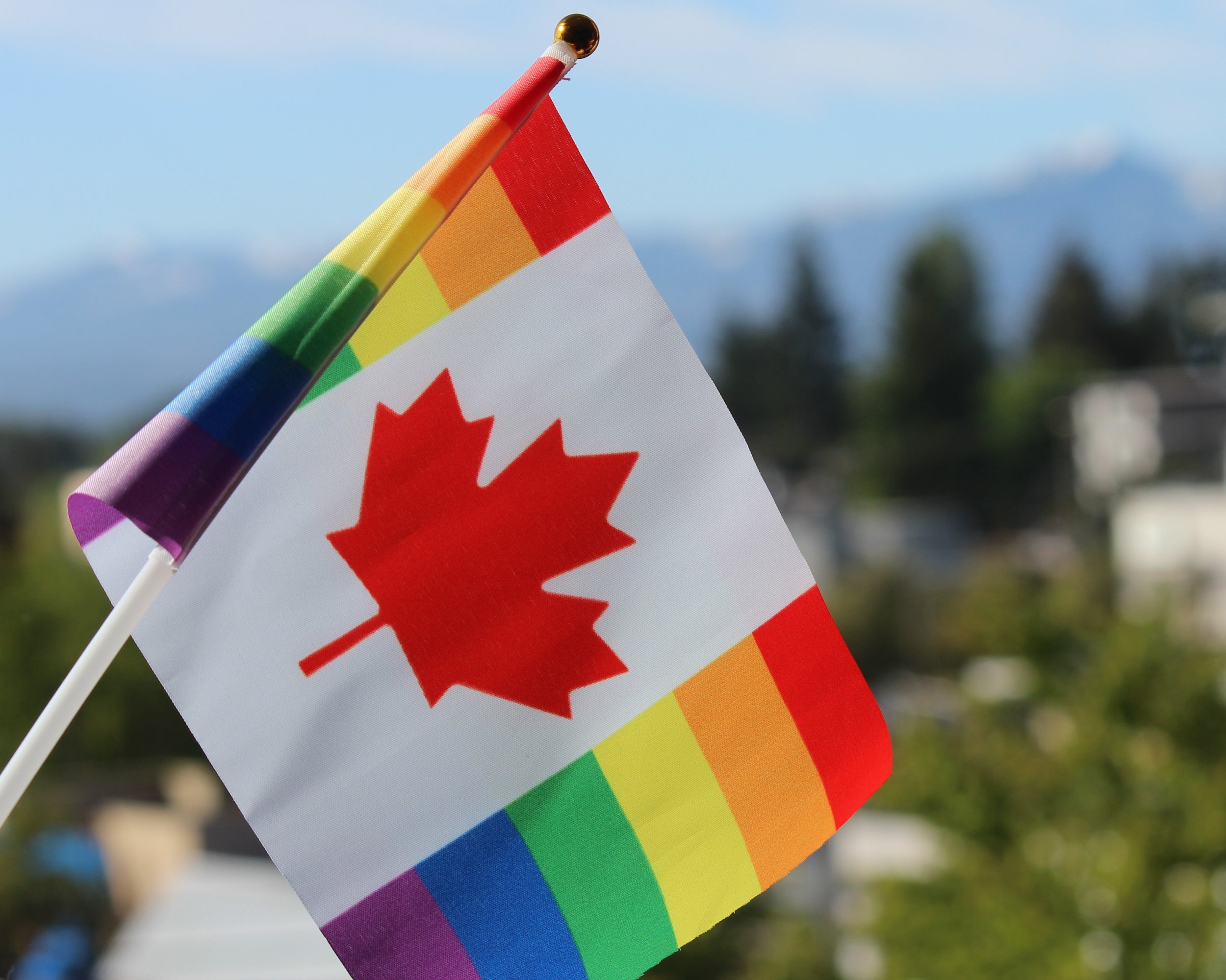 City of Courtenay acknowledges International Day Against Homophobia, Biphobia and Transphobia