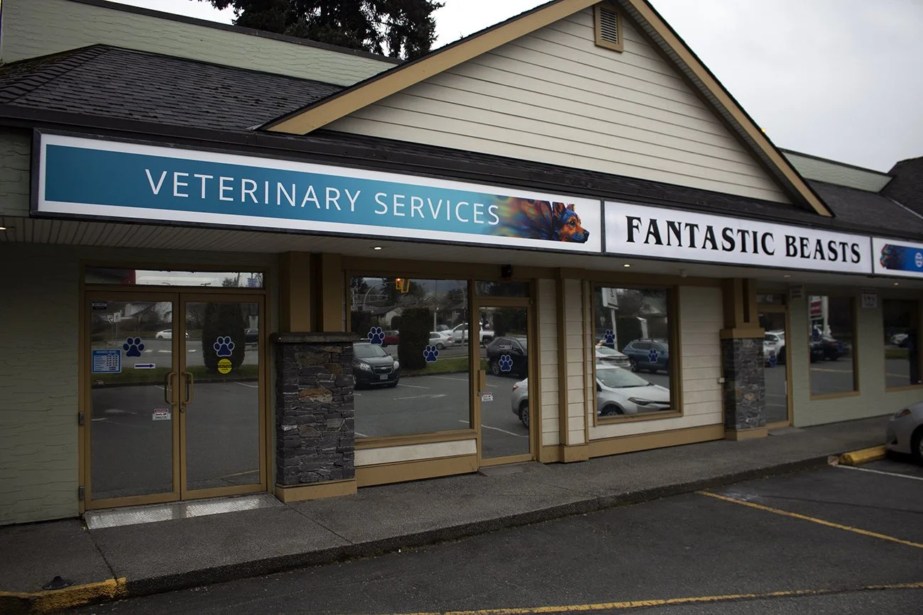 New low-cost vet care program opens in Nanaimo