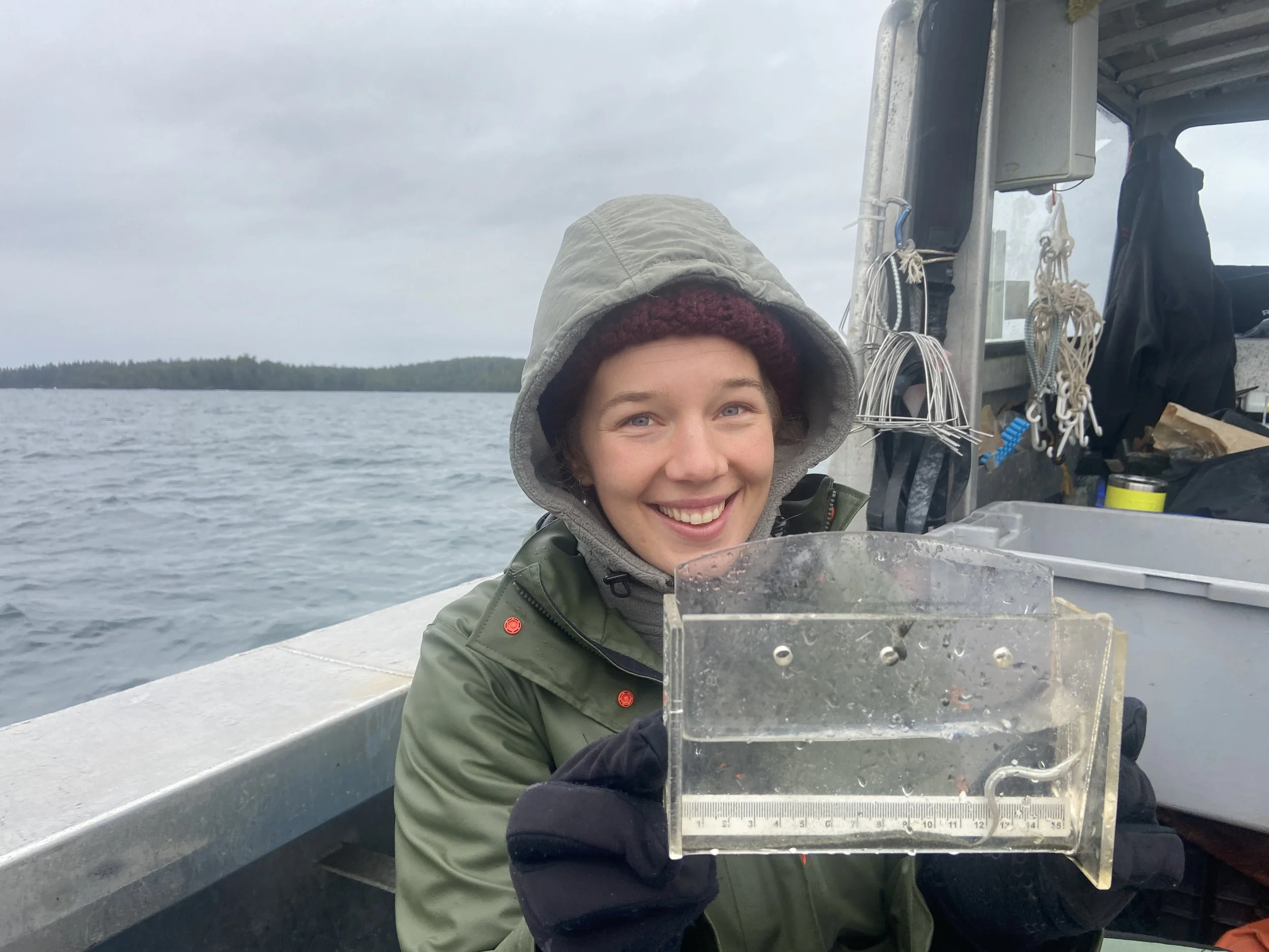 Looking out for the ‘little guys.’ A new eDNA collection method to research Salish Sea forage fish