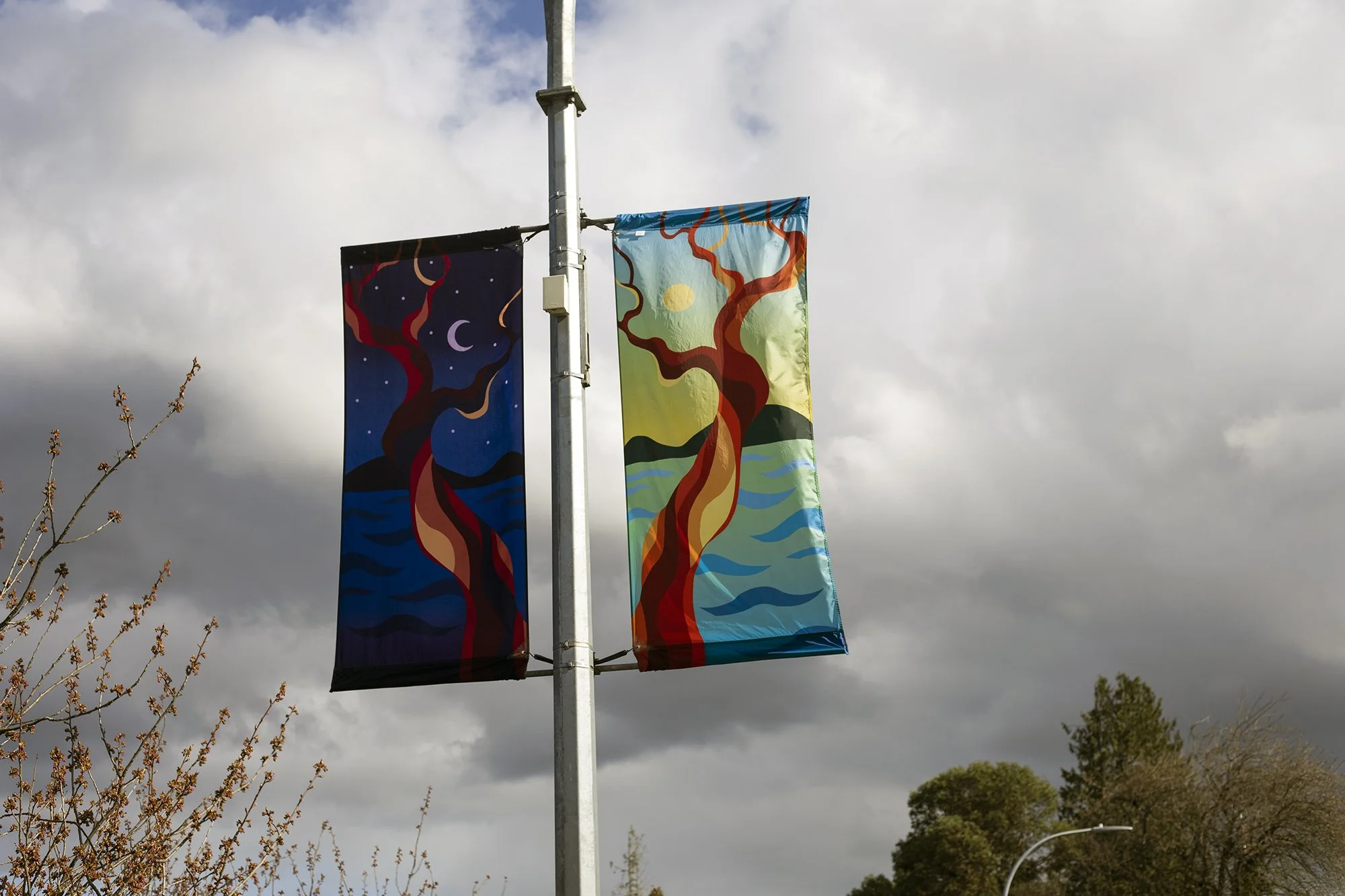 Nanaimo youth, youngest artist to be selected for City’s street banners