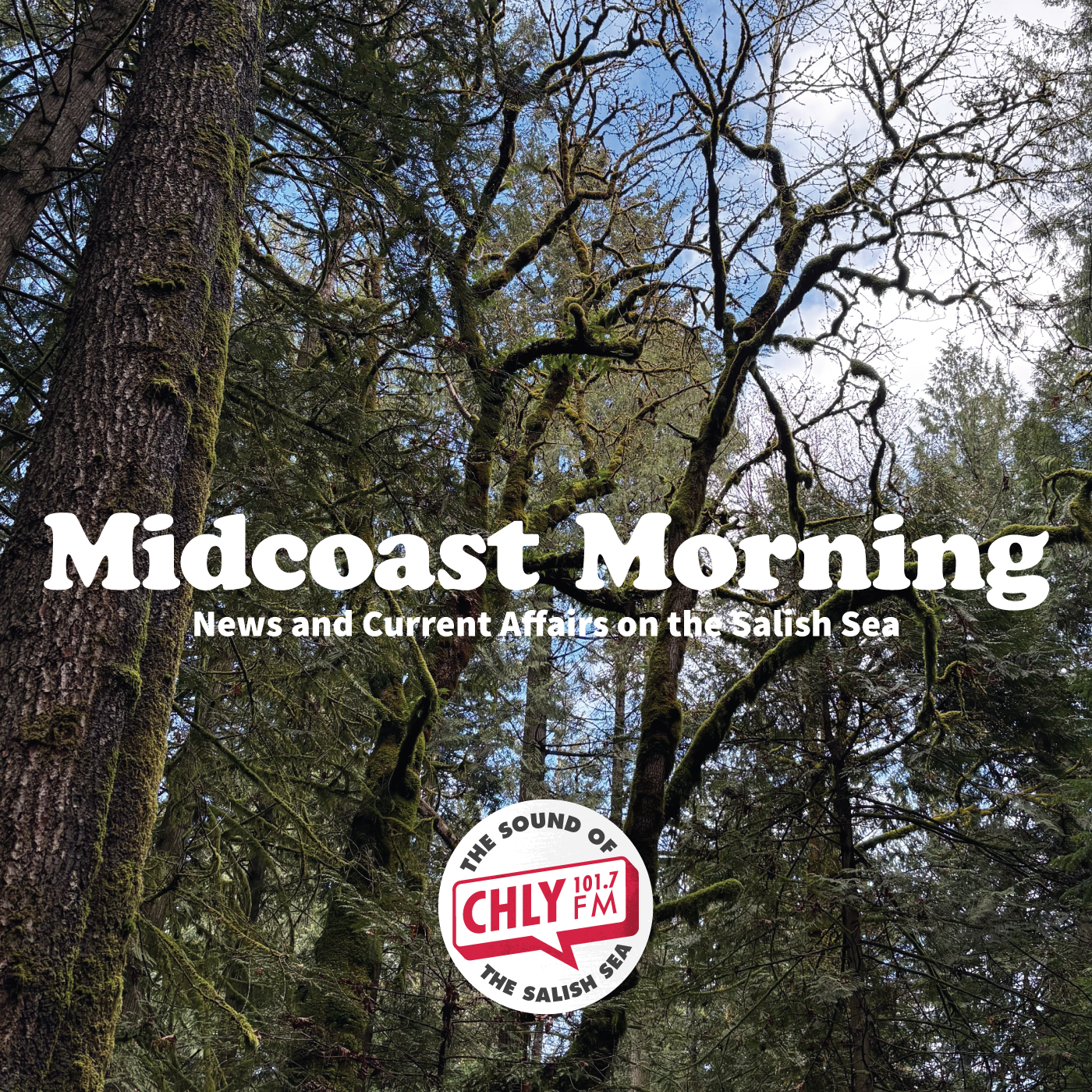 At 91, Grace Richard shares memories of decades at Wildwood Ecoforest