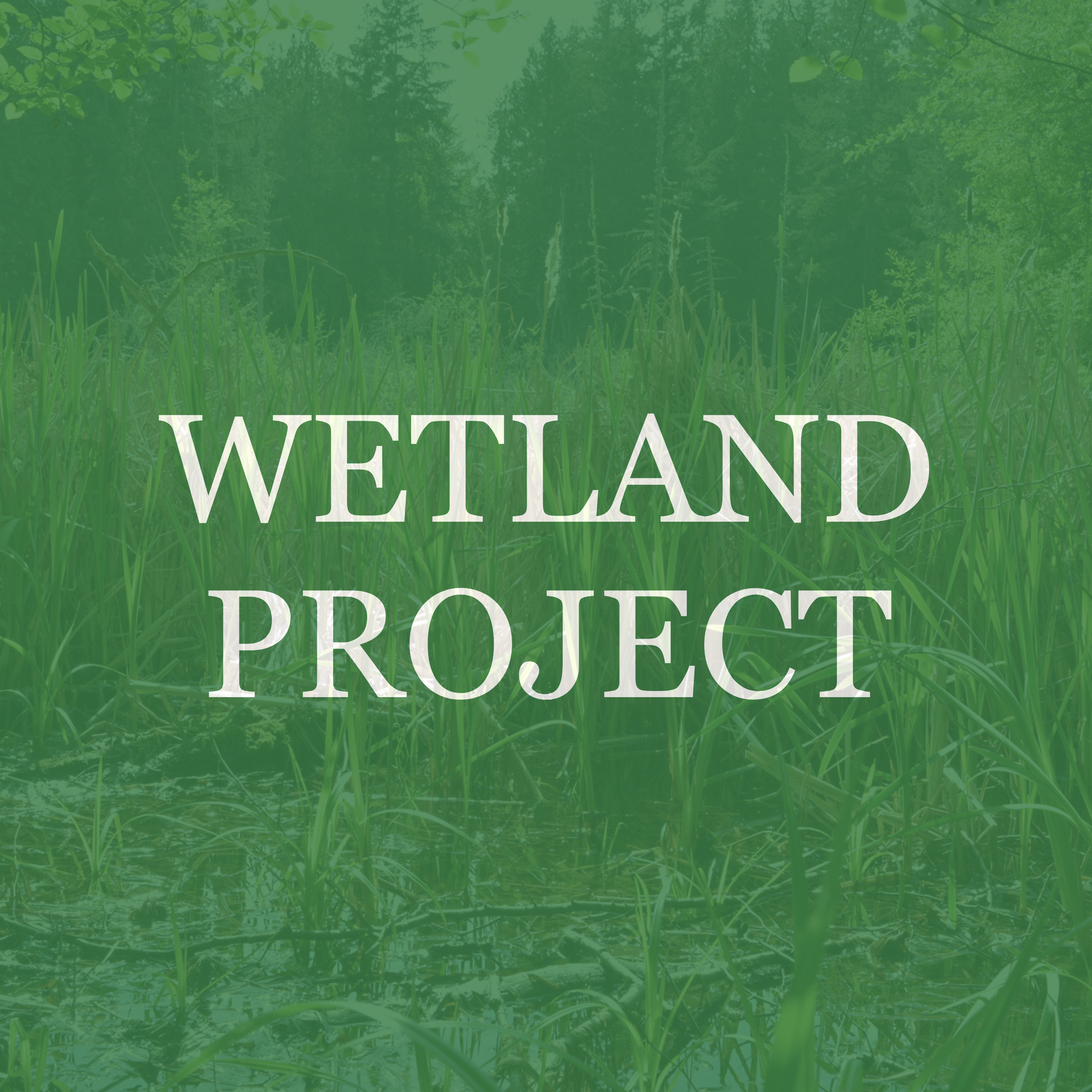 Premption Notice: 10th Annual Wetland Project Broadcast