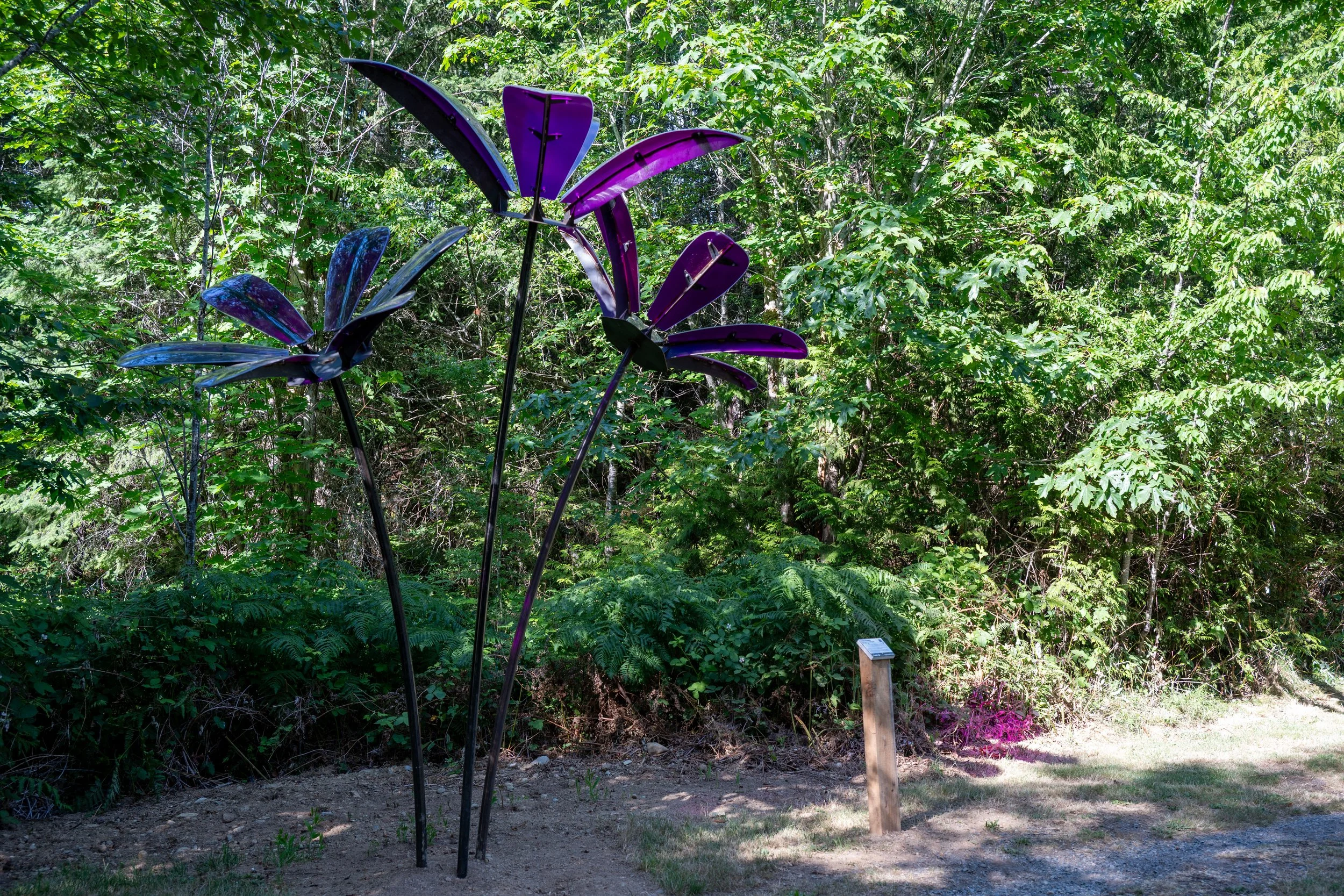 Forest Flowers is the City of Nanaimo’s first piece of Temporary Public Art for 2026