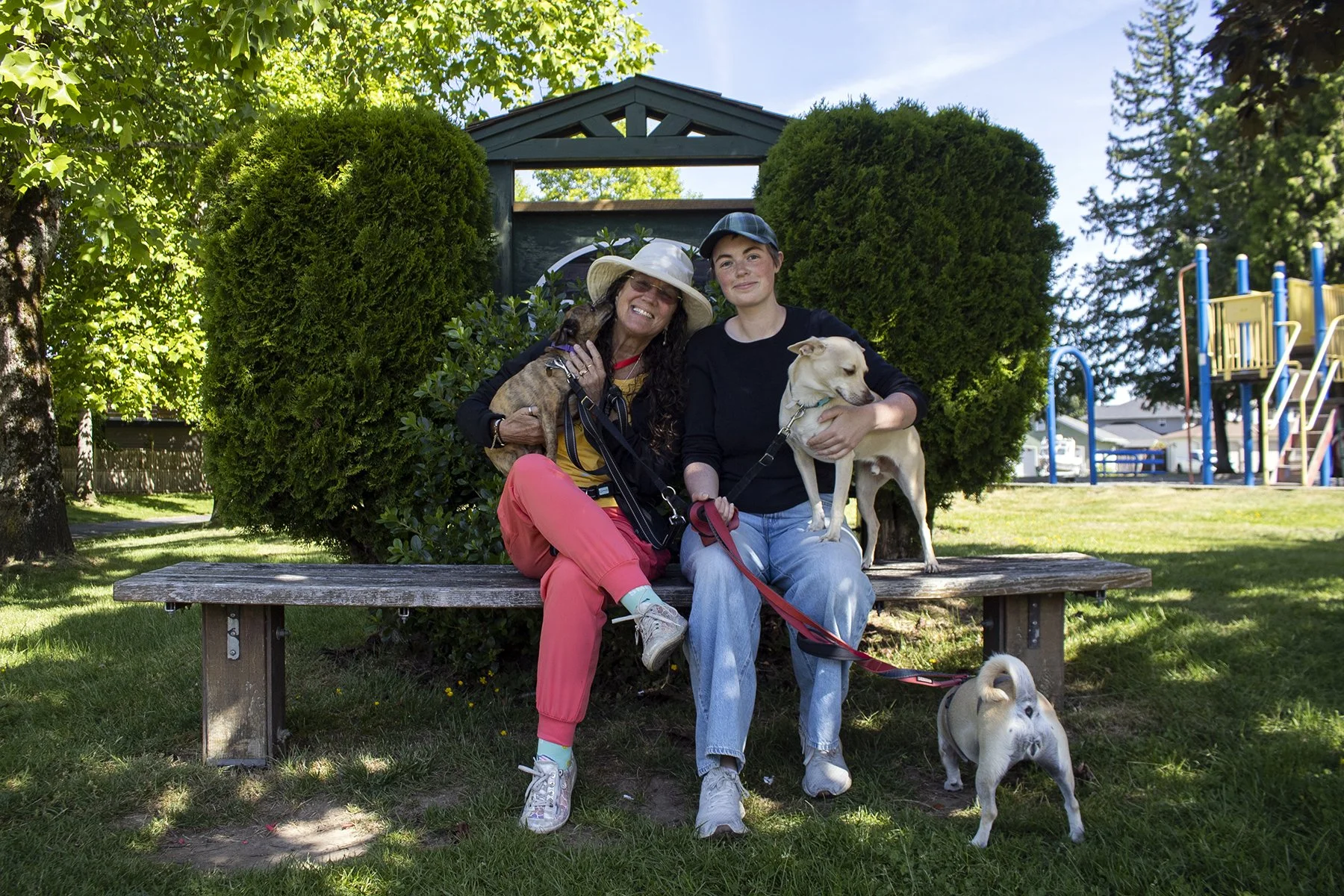Local ElderDog group in need of volunteers to bring support and connections for seniors and their dogs