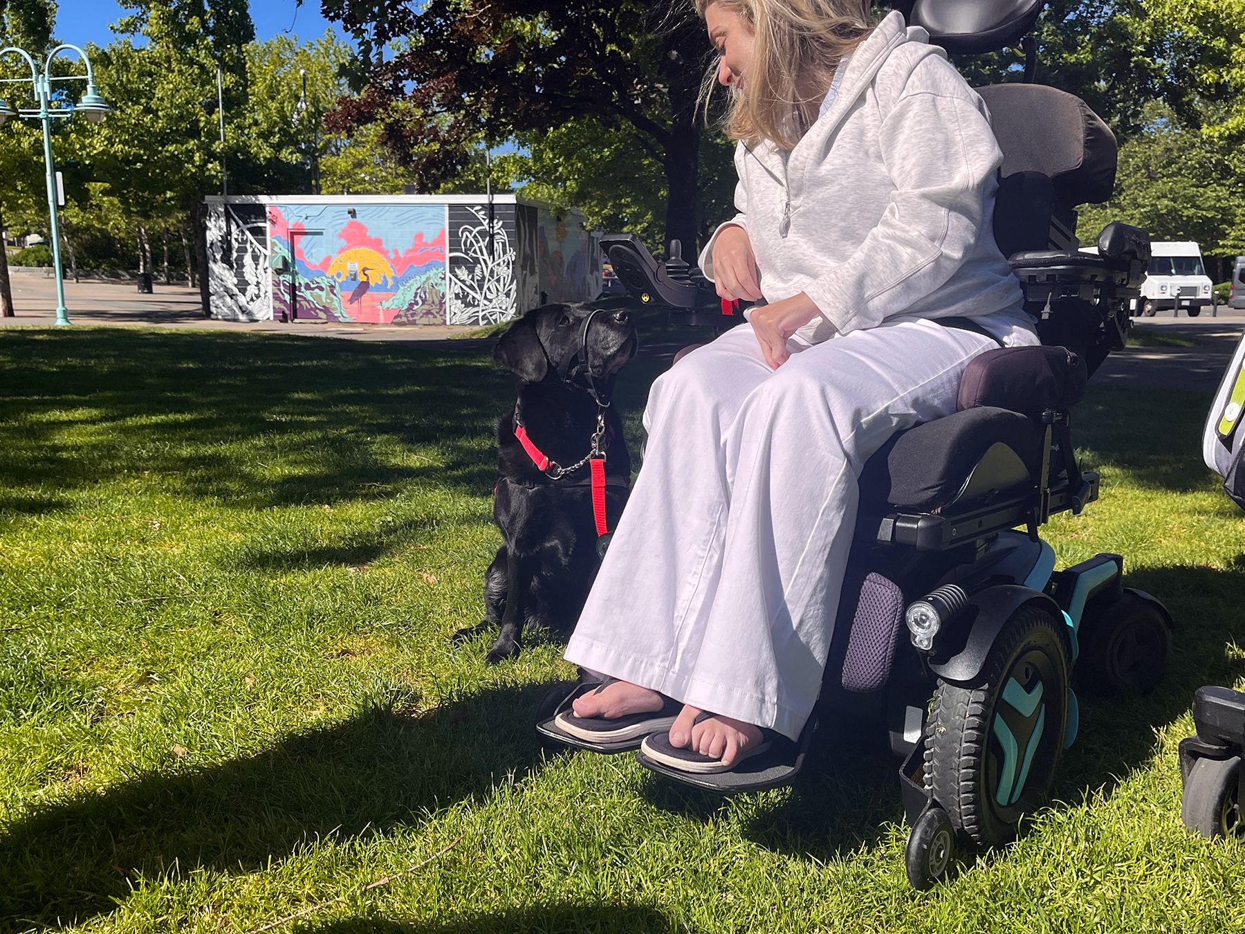 Nanaimo Lions Foundation Dog Walk seeking donations to provide guide dogs to Canadians with disabilities