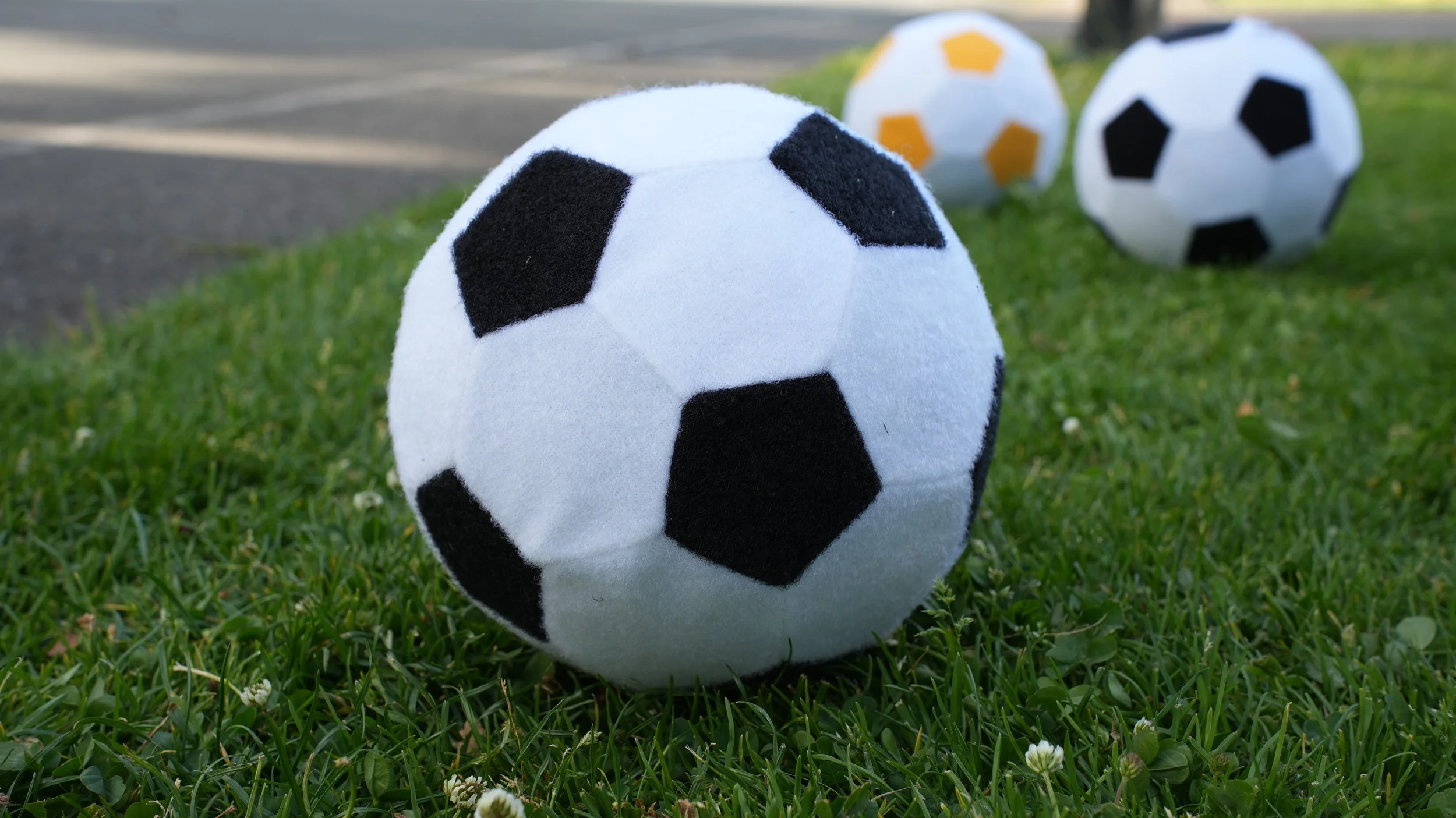 ‘Fútbol’ to be more accessible? City of Nanaimo applies for mini pitch funding through Mini Peaks Legacy Project