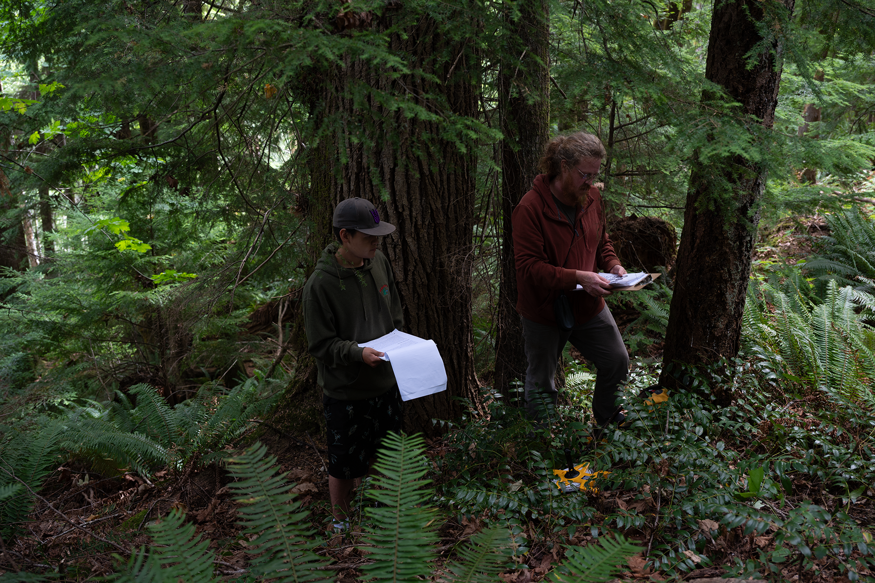 Youth-led tour showcases future possibilities for Oyster River Hermitage 