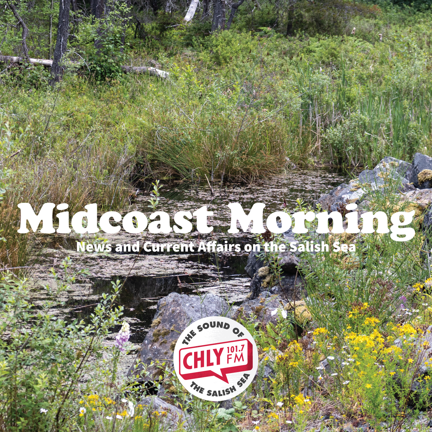 Talking about the systems that guide development near wetlands in B.C.