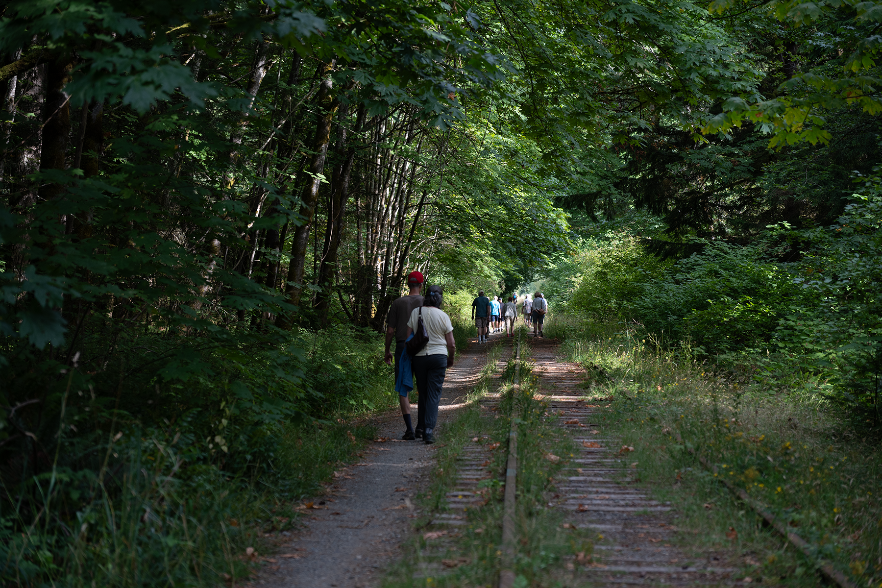 Imagining a new future for the Island Rail Corridor