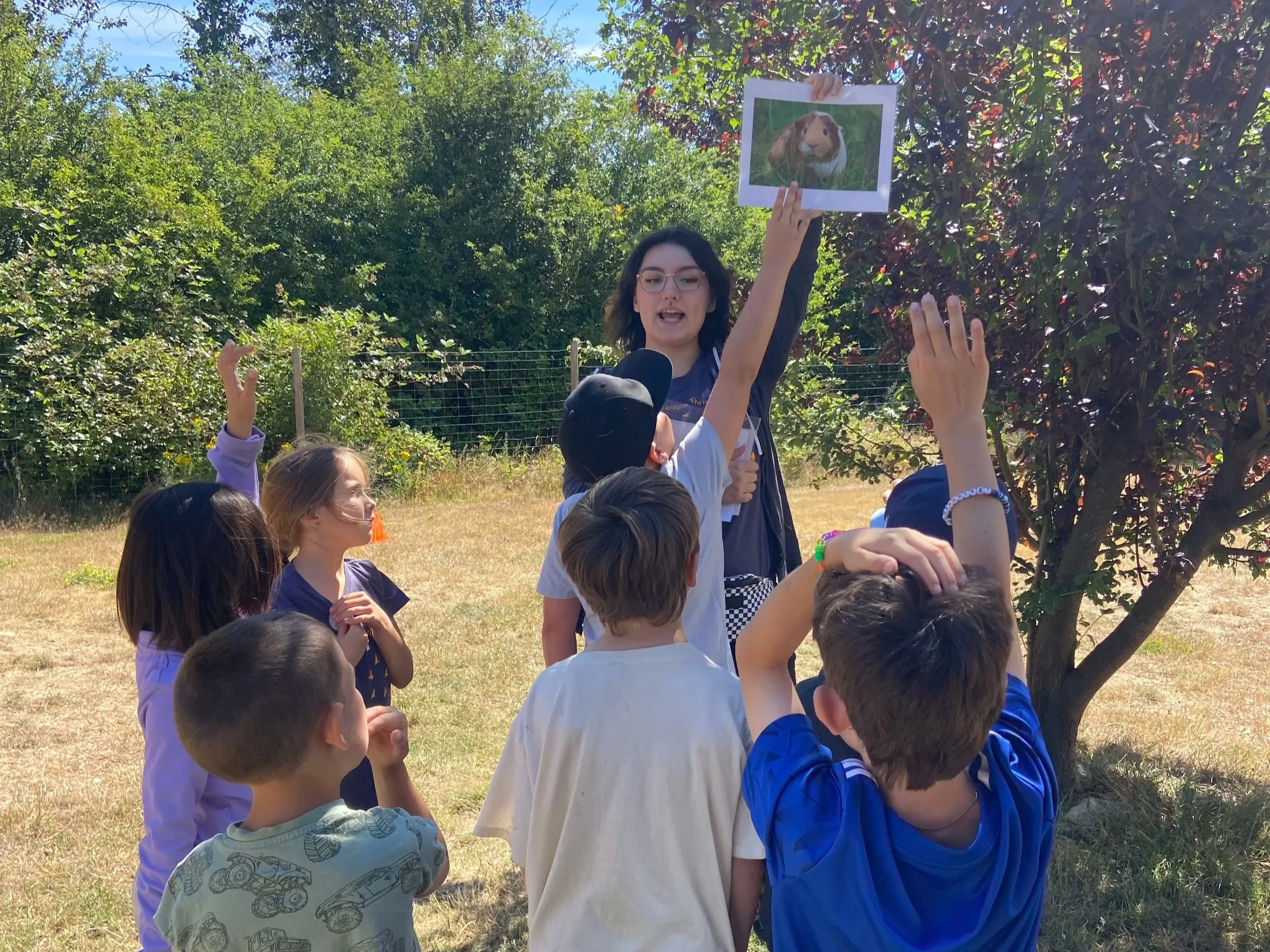 SPCA summer camp not just fun for kids, but impactful for animals