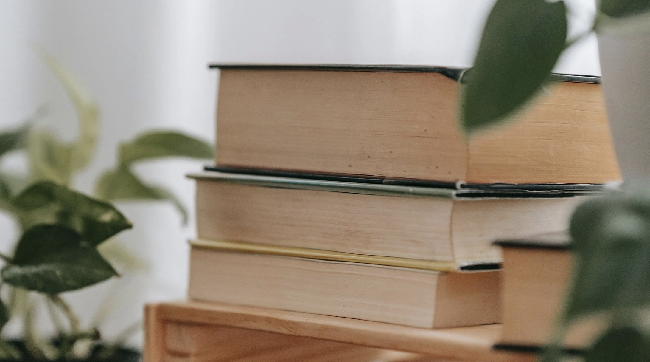 Important notice regarding "Falcon BookNook" emails to authors