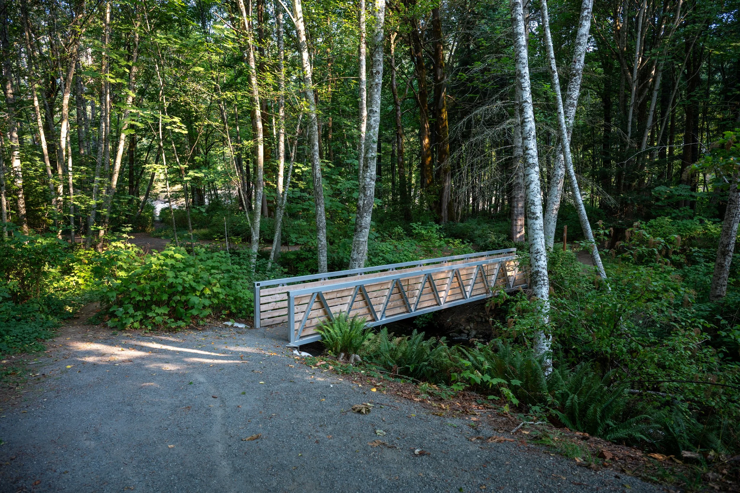 Bridge at Bear James Park