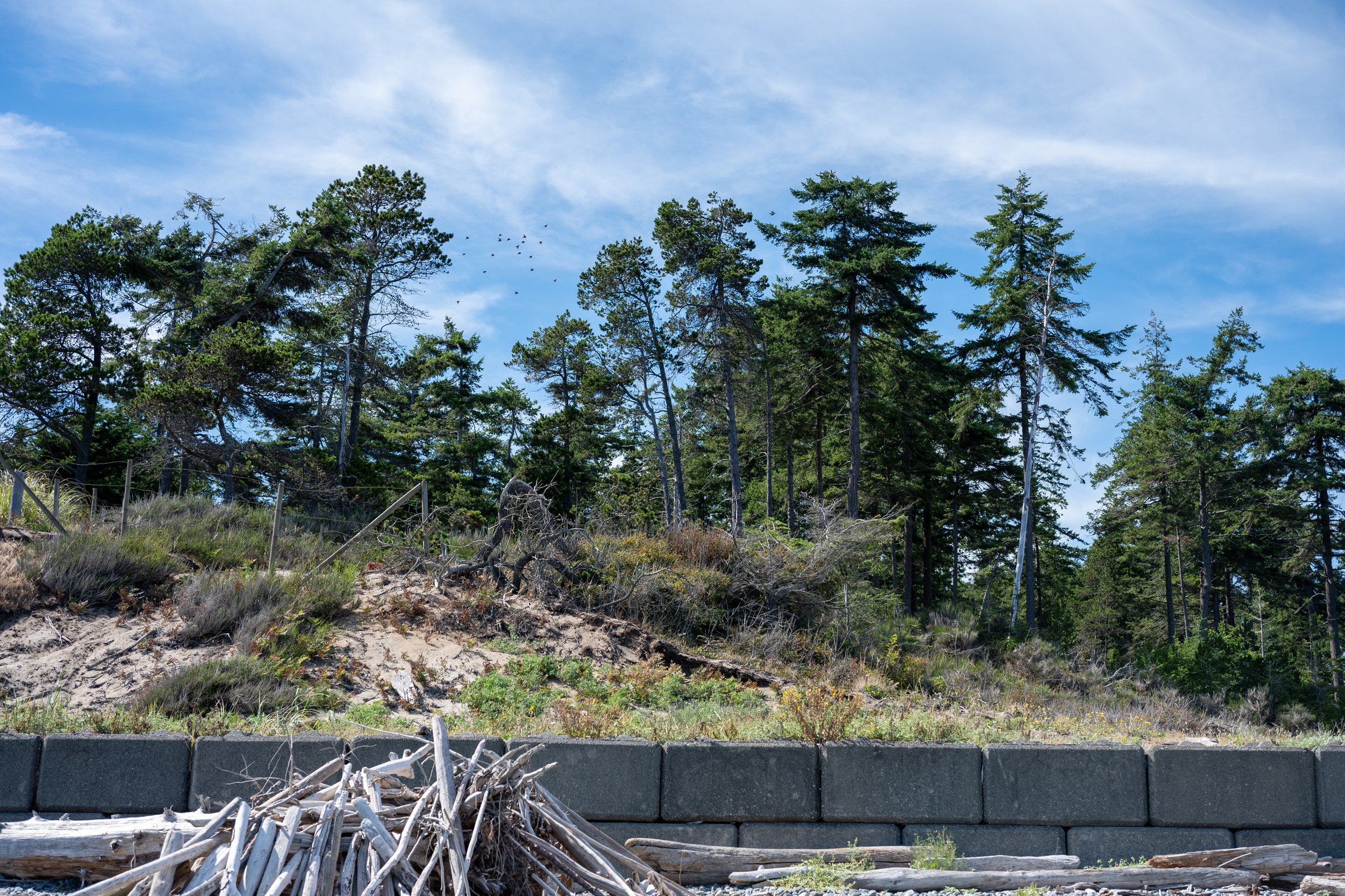 Comox advances 721 Lazo Road rezoning with two conditions