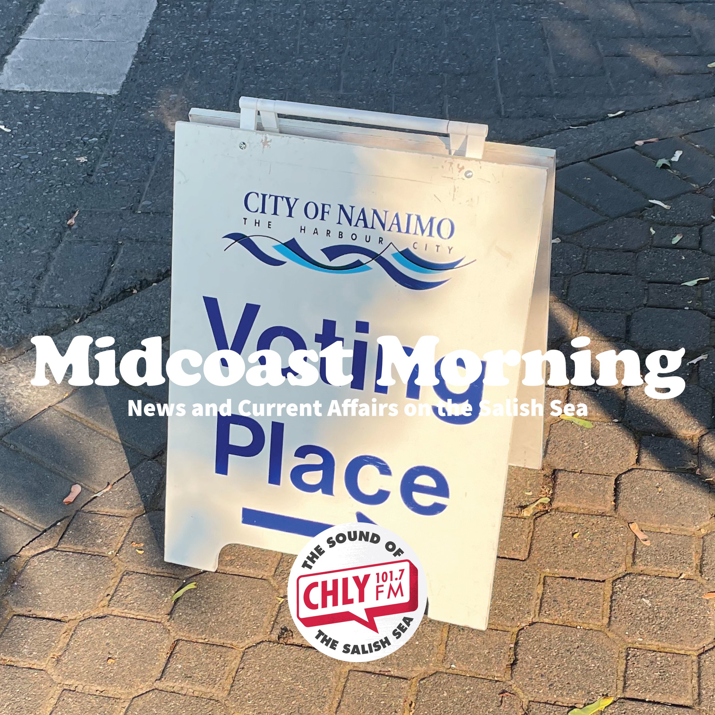 A long ballot. How the local election system could shape the coming campaign in Nanaimo