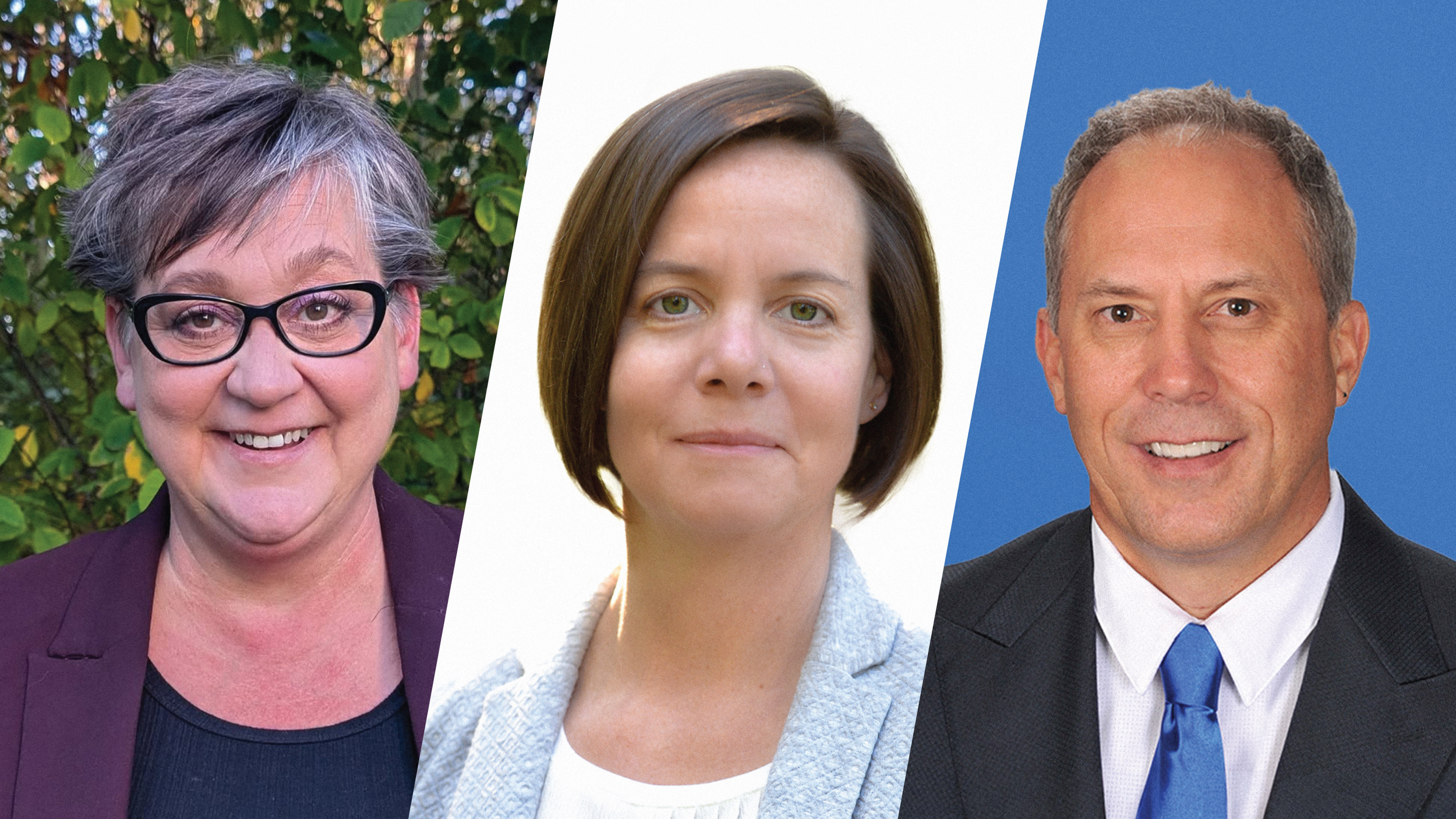 Candidates in Ladysmith Oceanside in their own words 
