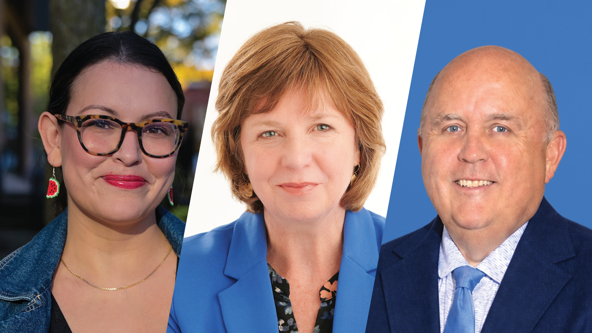 Nanaimo-Gabriola Island candidates express priorities