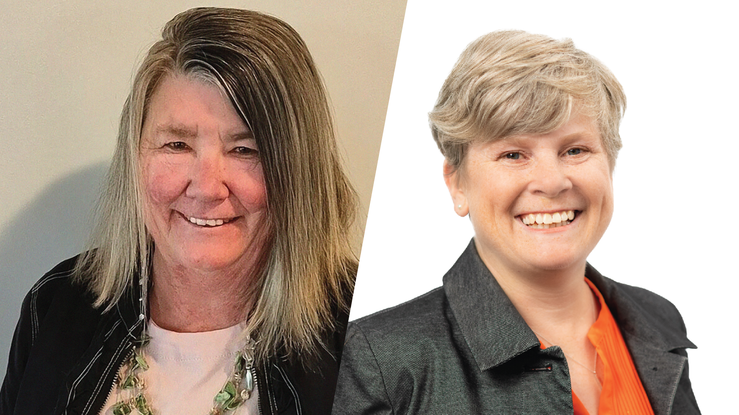 Healthcare, water security and climate change among top issues at Mid-Island Pacific Rim candidates forum