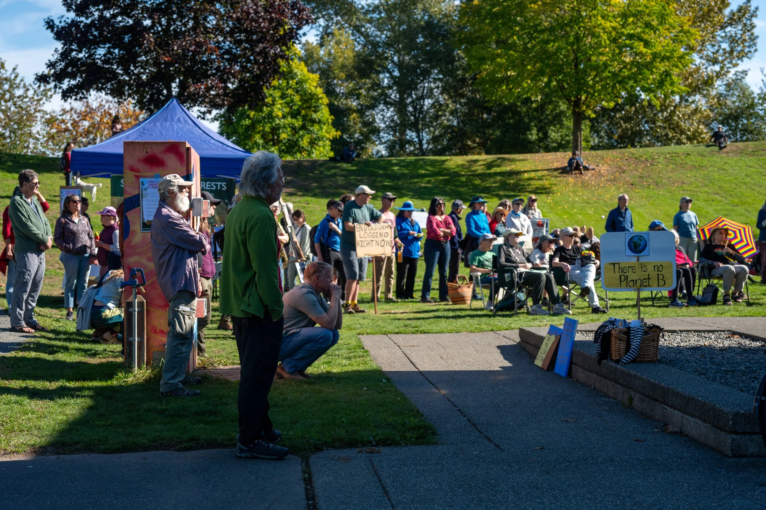 Courtenay council race draws 19 candidates for six seats 