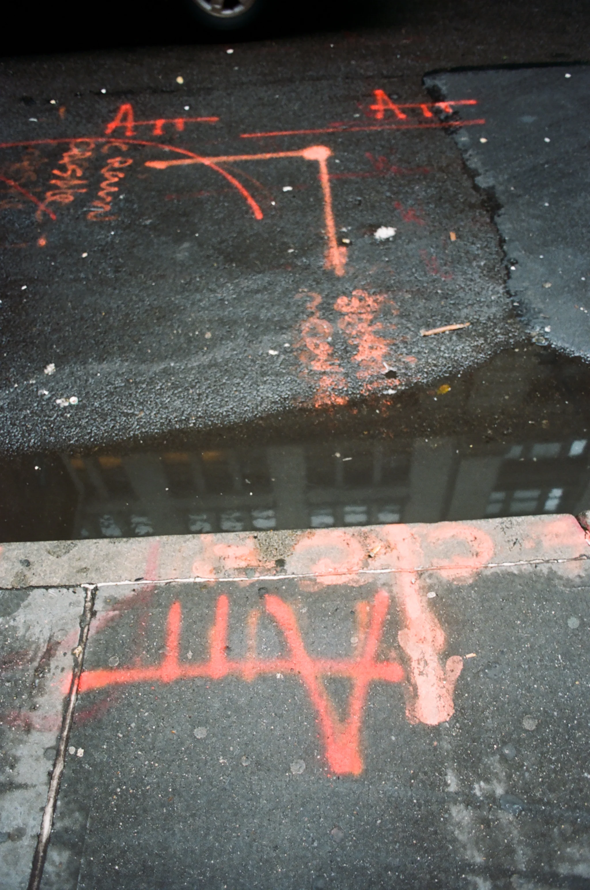 81390020.JPG