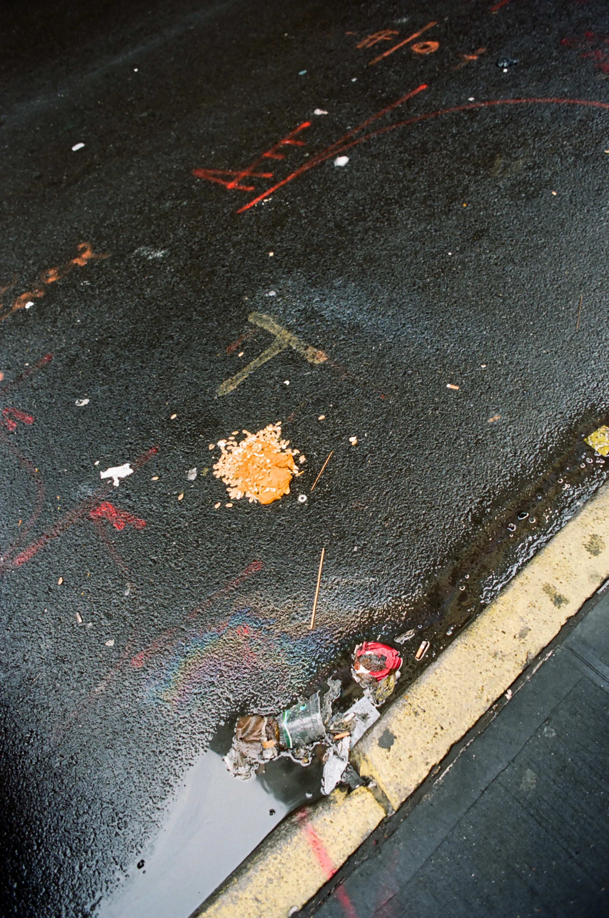 81390032.JPG