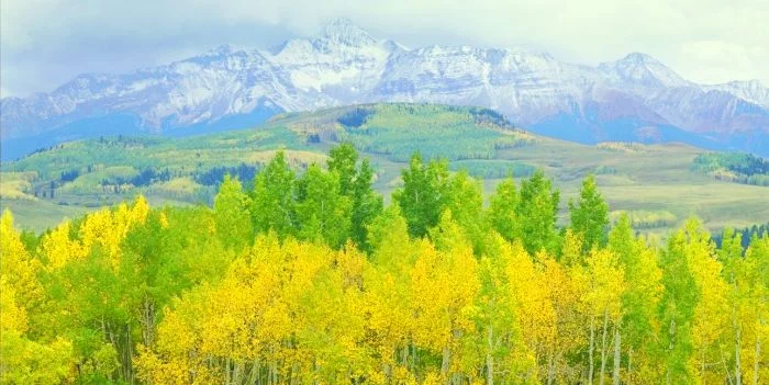 The World Is Not Here For The Reasons We Assume...