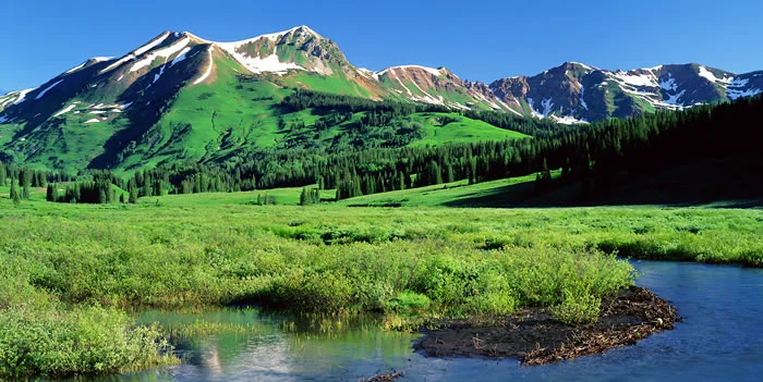 All Relationships Are Healed The Same Way