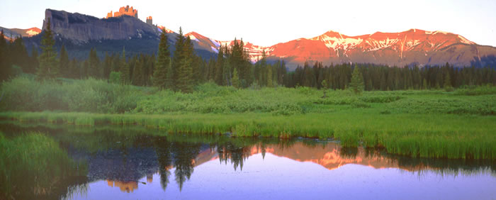 How To Heal Your Body and Mind