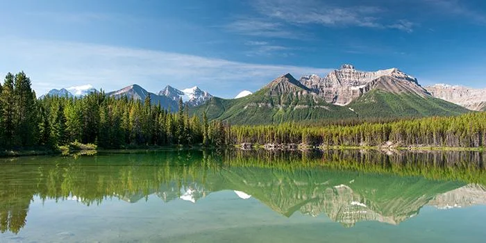 Understanding The One Thing You Truly Want