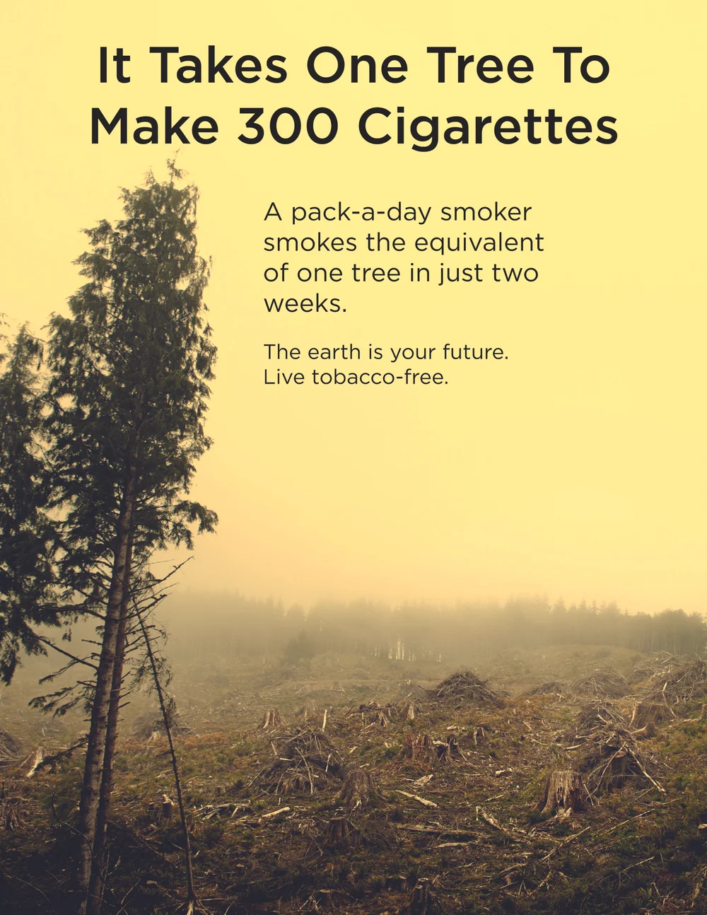 tobacco policies in the united states New Report: Tobacco Industry Interference in the U.S. Hits Record High –  ASH > Action on Smoking & Health