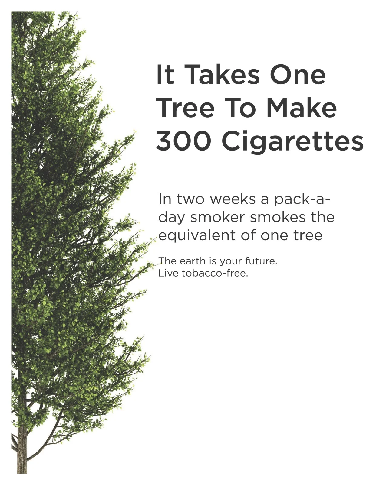 One Tree Ad