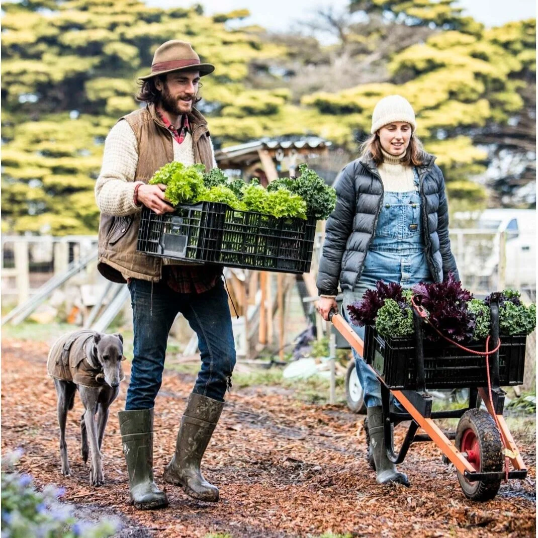 Growing with Tom &amp; Bridie of Kinsfolk Farm