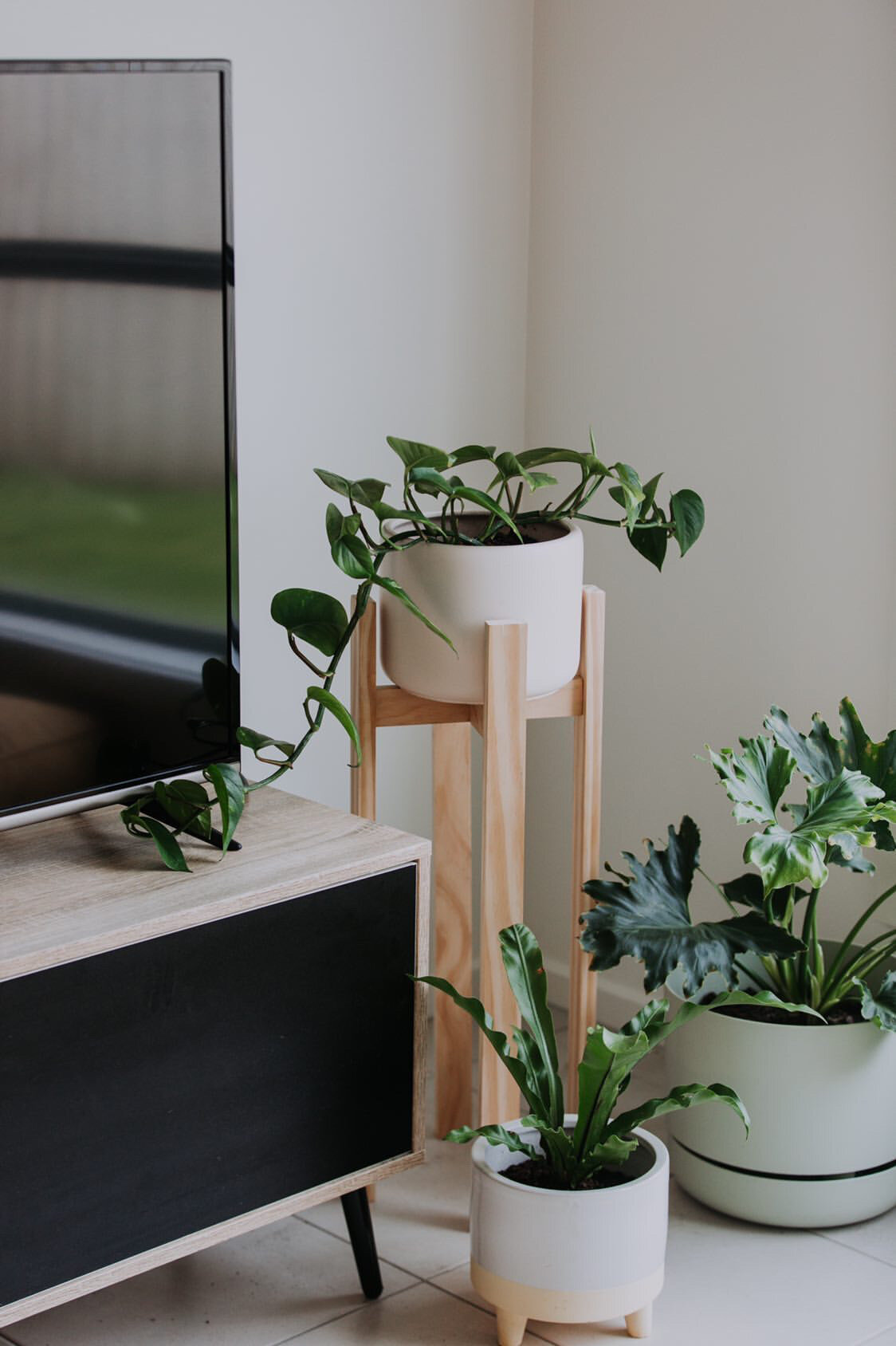 DIY Timber Plant Stands - Free Downloadable Plans — Al + Imo | Custom ...