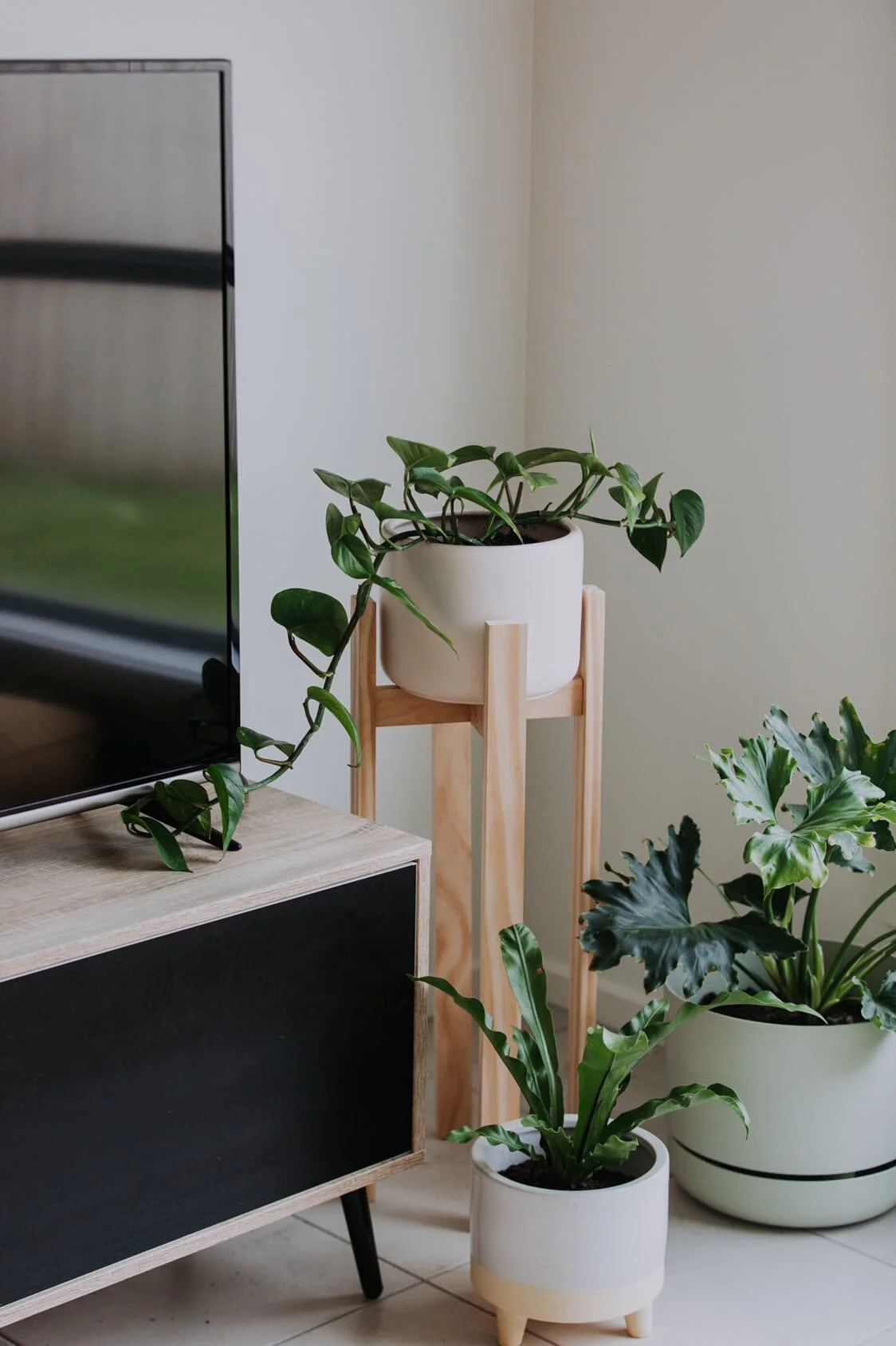 DIY Timber Plant Stands - Free Downloadable Plans — Al + Imo | Custom ...