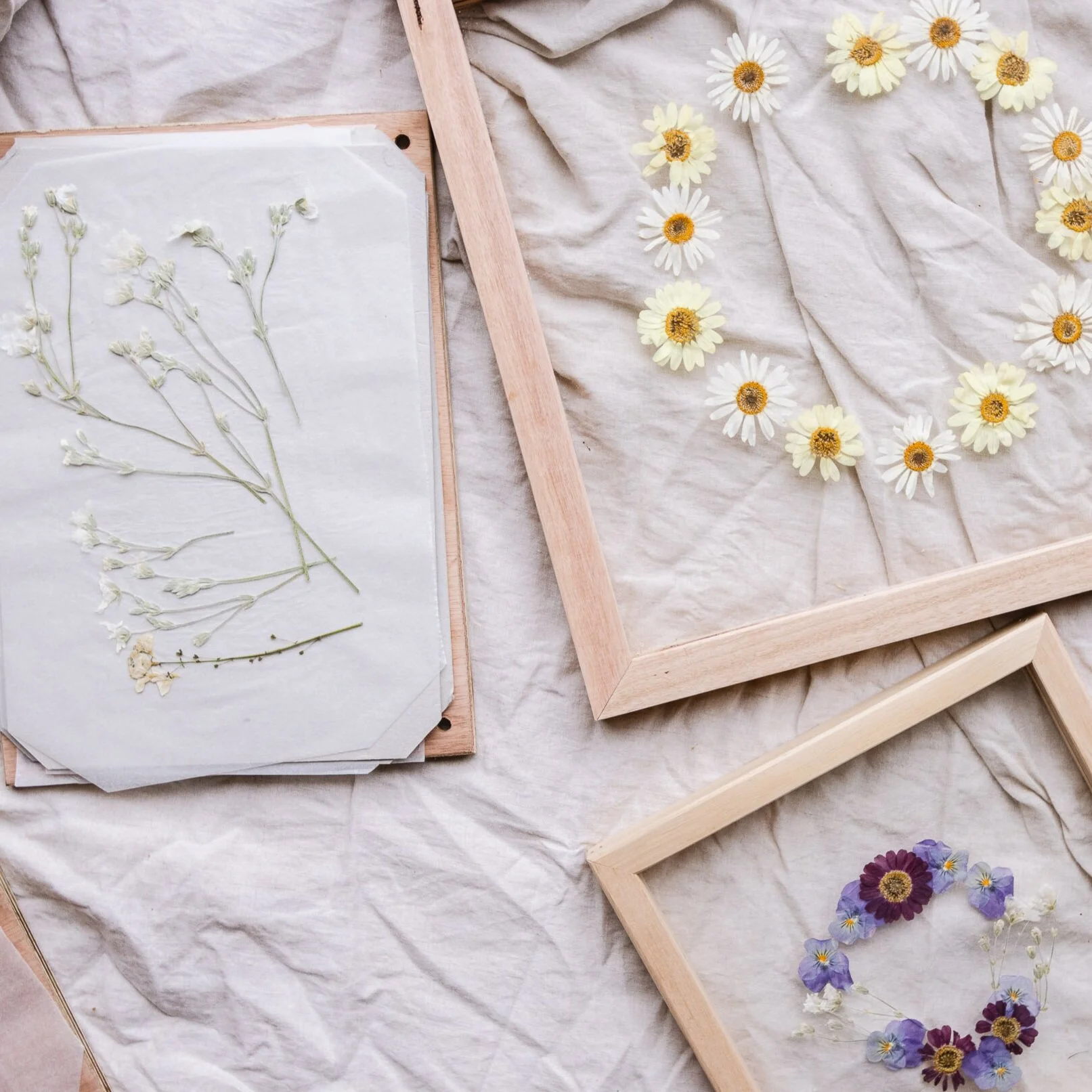 How To Frame Pressed Flowers DIY