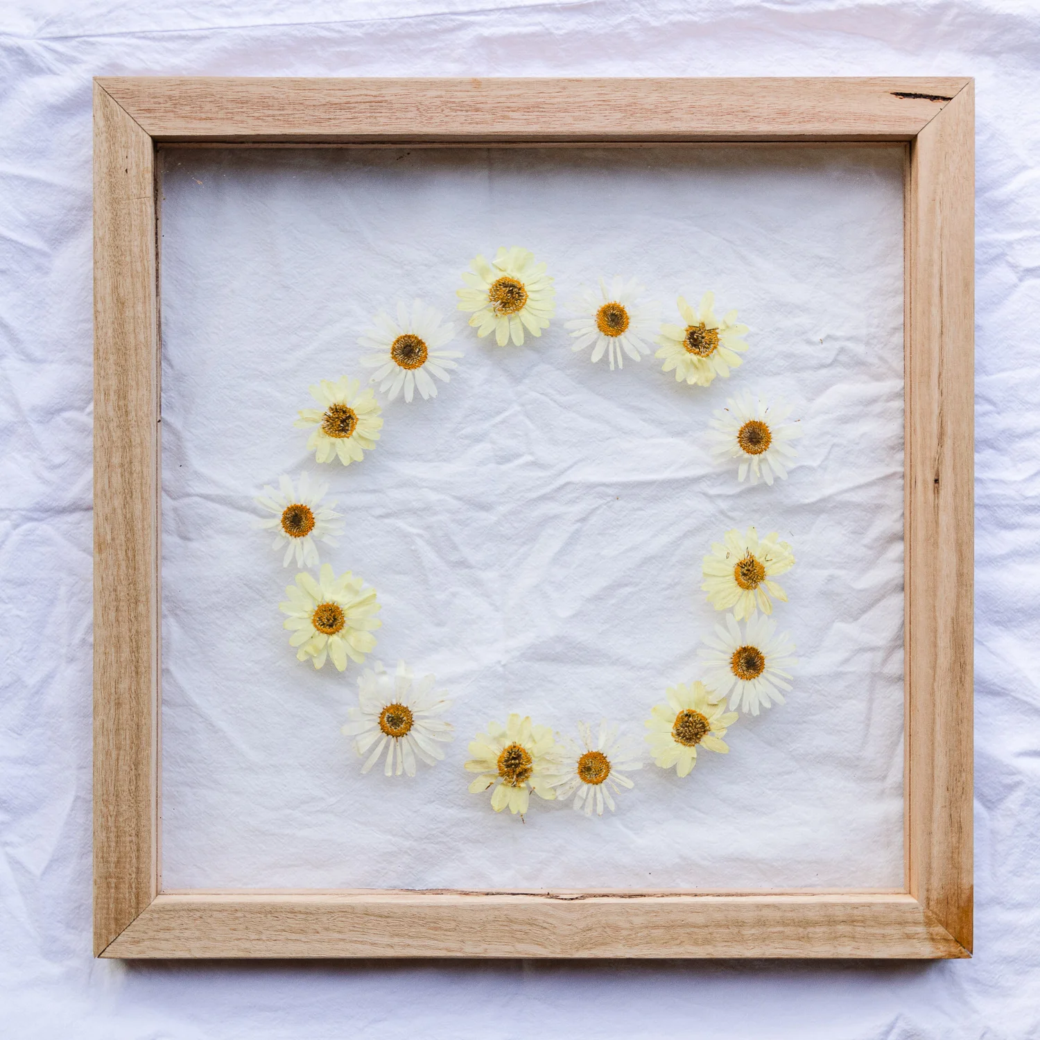 How To Frame Pressed Flowers DIY — Al + Imo | Custom Timber Furniture ...