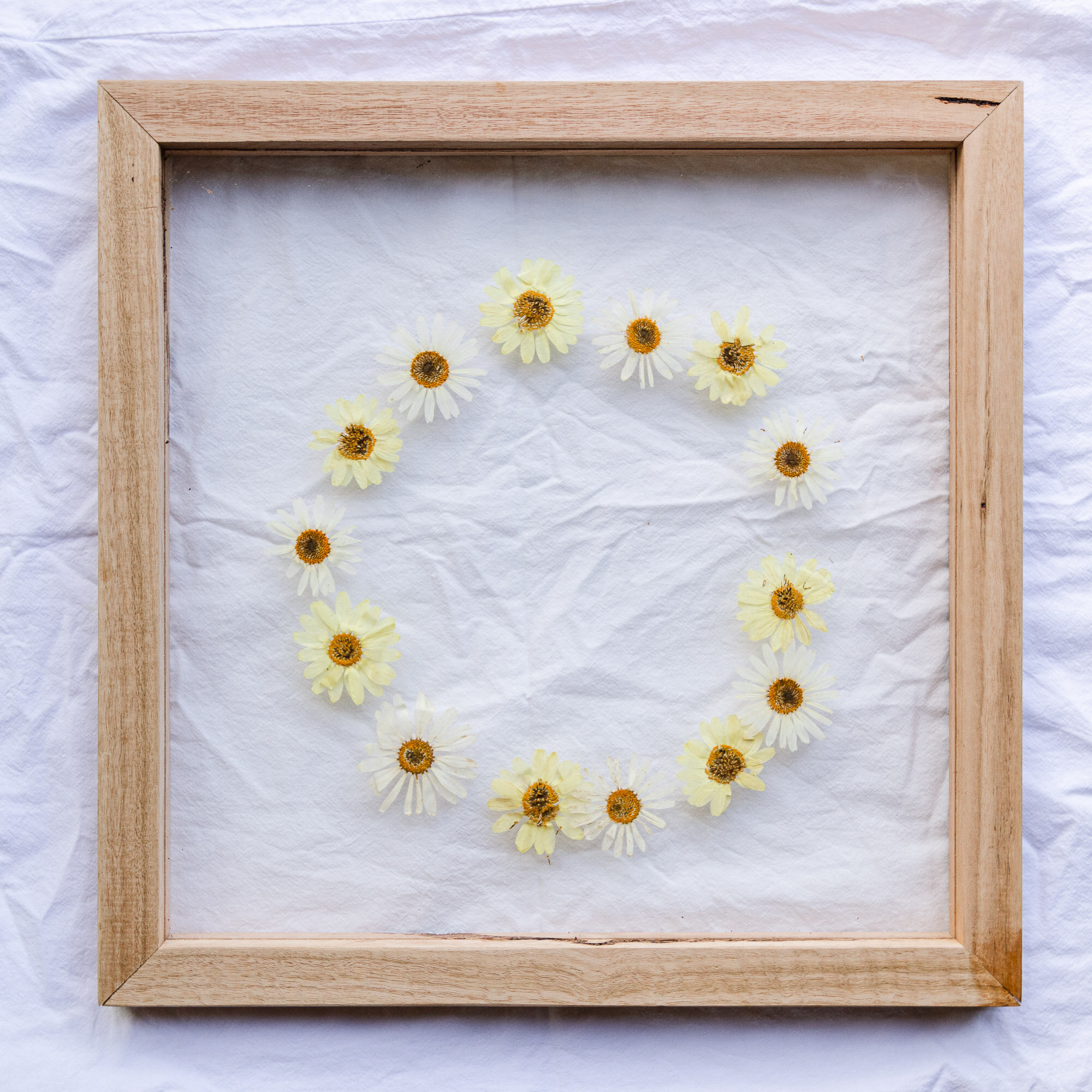 How To Frame Pressed Flowers DIY — Al + Imo | Custom Timber Furniture ...