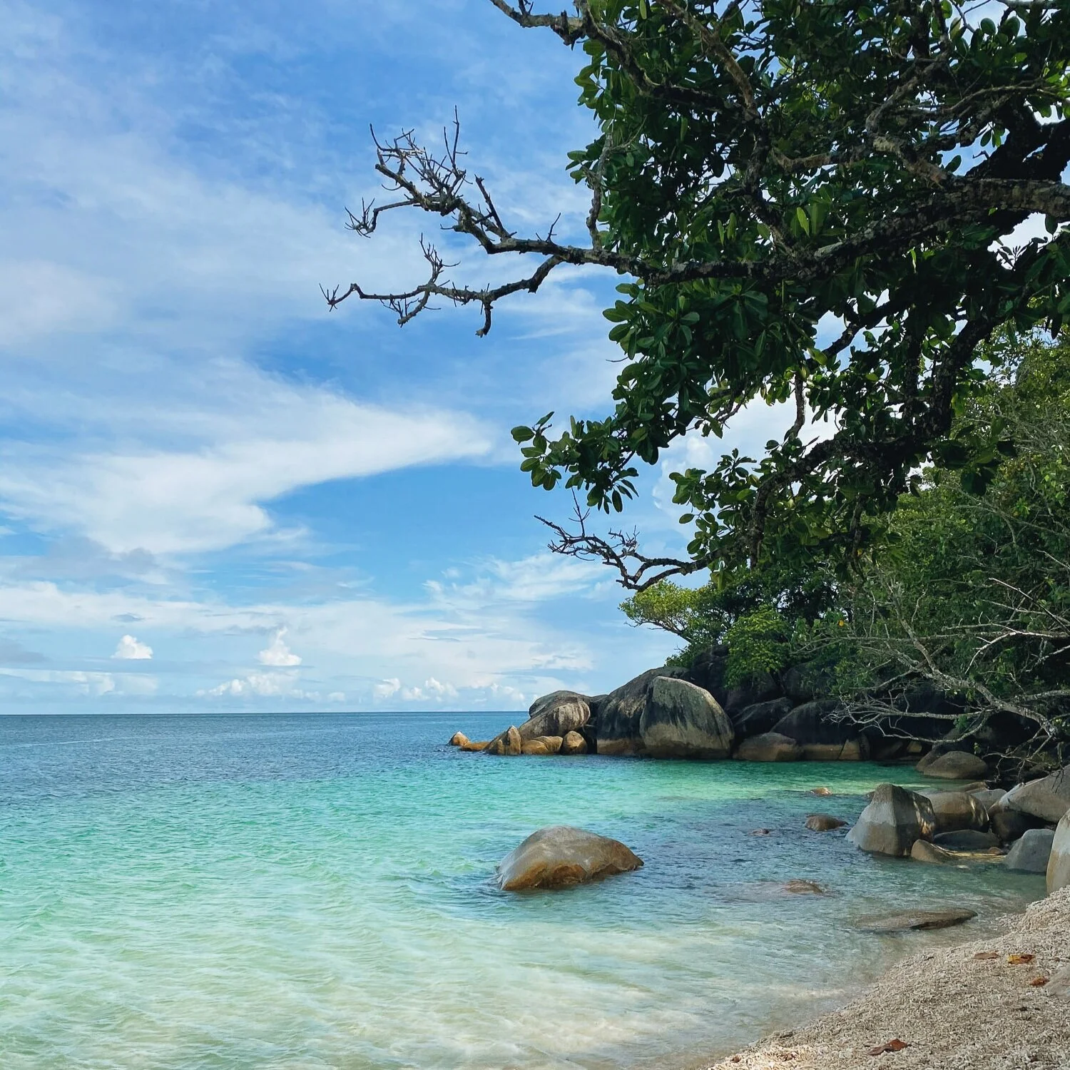 Our Guide To Imo's Home Town in Tropical North Queensland