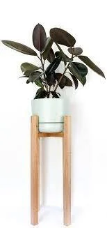 DIY Pland Stand - Al and Imo