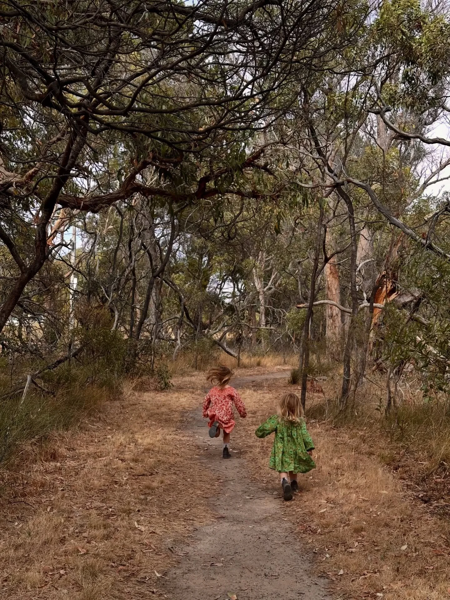 A big beautiful couple of weeks ✨🌿